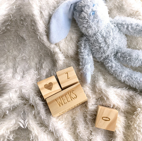 Baby Milestone Blocks