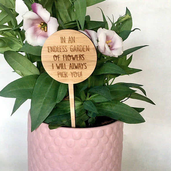 Mini Love Plant Stakes