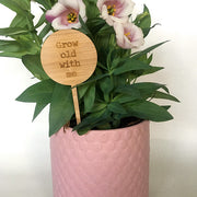 Mini Love Plant Stakes