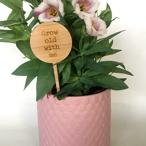 Mini Love Plant Stakes