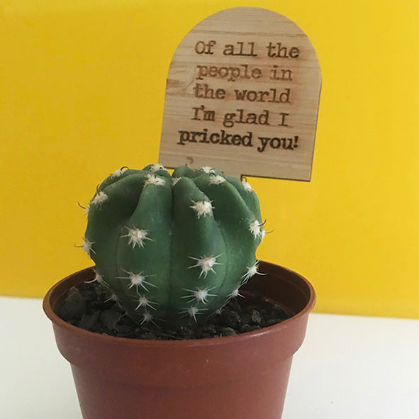 Cheeky Mini Plant Stakes