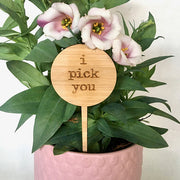 Mini Love Plant Stakes