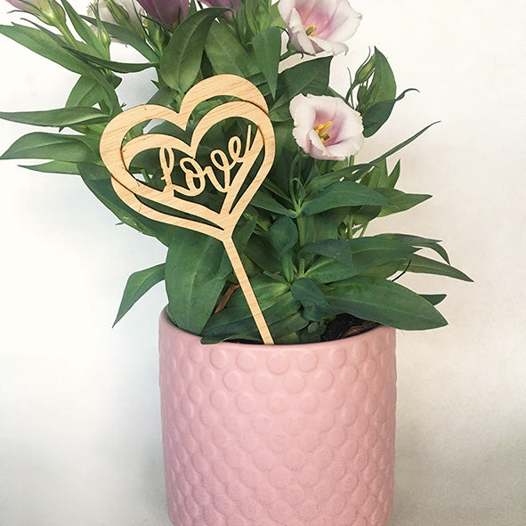 Mini Love Plant Stakes