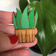 Mother-In-Laws Tongue Badge