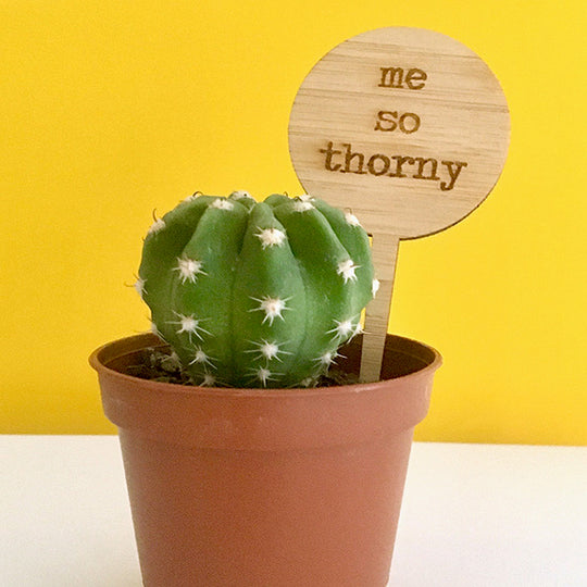 Cheeky Mini Plant Stakes