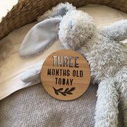 Year 1 Wooden Milestone Discs