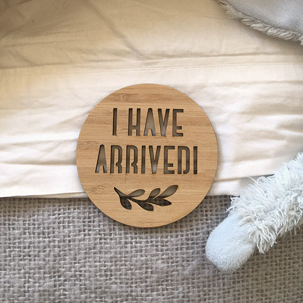 Year 1 Wooden Milestone Discs