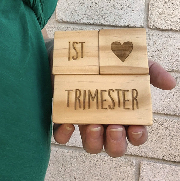 Pregnancy Milestone Blocks