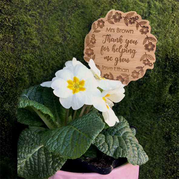 Thanks For Helping Me Grow Plant Stake