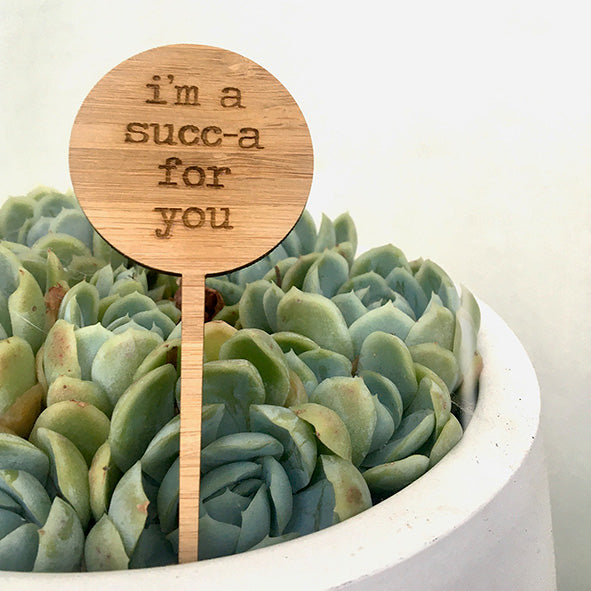 Cheeky Mini Plant Stakes