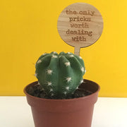 Cheeky Mini Plant Stakes