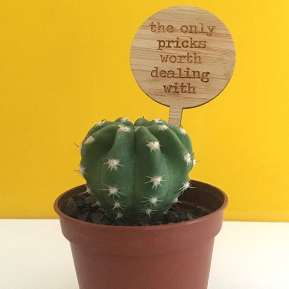 Cheeky Mini Plant Stakes