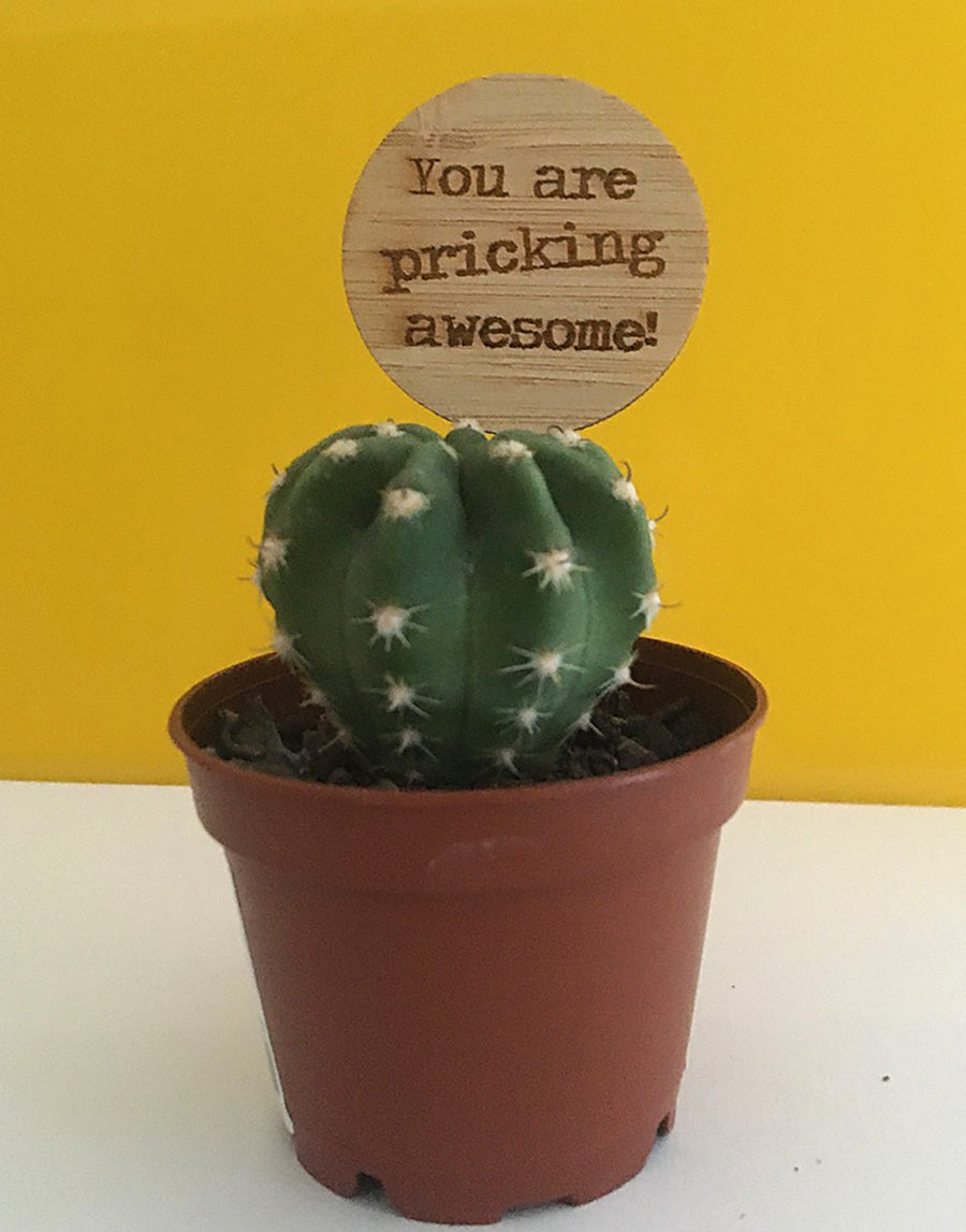 You Are Pricking Awesome Plant Stake