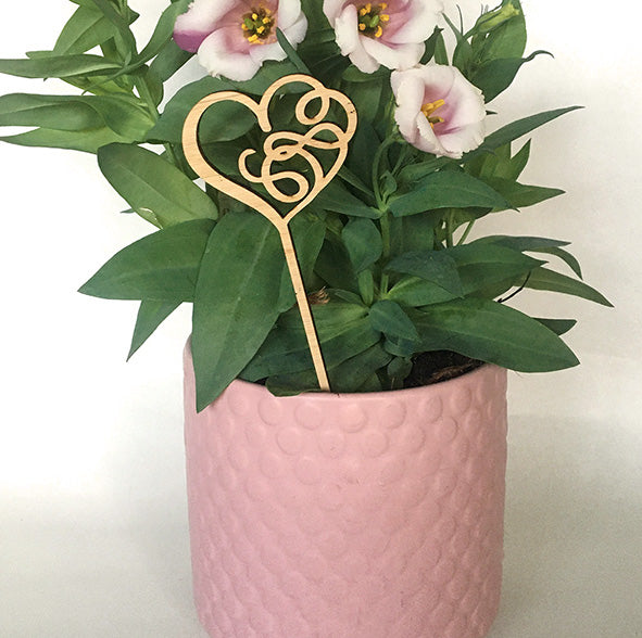 Mini Love Plant Stakes